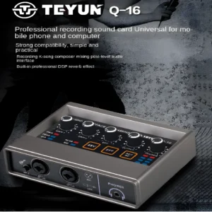 TEYU Q-16 Audio Interface Sound Card 16-bit/48KHz Converter Electric Guitar Live Recording Professional Studio Sing Podcast Q16